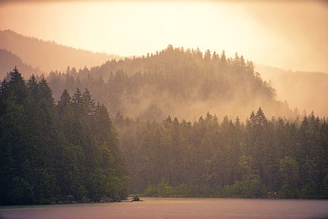 kabut, Fajar, pohon, matahari terbenam, kayu, hutan, danau, air, malam, alam, pemandangan, musim gugur, gelap, cahaya, suasana musim gugur, suasana hati, bukit, level, menanam, keindahan di alam, adegan yang tenang, scenics - alam, ketenangan, tanah, pertumbuhan, langit, tidak ada orang, adegan non-urban, lingkungan Hidup, idilis, hari, pohon jenis konifera, 5K, CC0, domain publik, bebas royalti