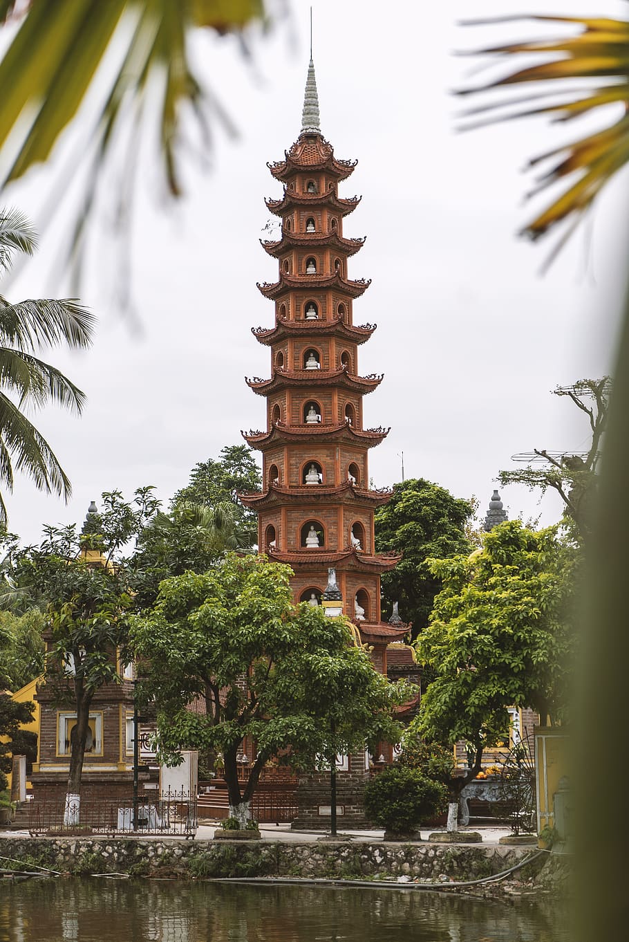 brunt tempel, træ, arkitektur, bygget struktur, plante, bygning udvendig, bygning, natur, religion, vand, tro, sted for tilbedelse, dag, himmel, ingen mennesker, Palme træ, rejsemål, tropisk klima, udendørs, vækst, Spir, 4K