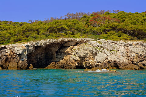 mare, montagna, scogliere, alberi, roccia, foresta, isole tremiti, gargano, puglia, acqua, solido, roccia - oggetto, scenics - natura, albero, bellezza nella natura, pianta, natura, scena tranquilla, la tranquillità, terra, lungomare, cielo, scena non urbana, nessuno, giorno, all'aperto, Pino, albero di conifere, bosco di pini, color turchese, 5K, CC0, dominio pubblico, privo di copyright