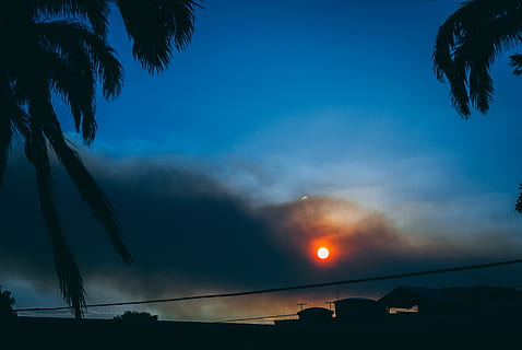 fosc, arbres, núvols, ombra, posta de sol, fons de pantalla, noir, negre, blau, taronja, sol, naturalesa, fred, ennuvolat, scape, paisatge, fum, azul, naranja, atardecer, cel, arbre, silueta, Palmera, cap gent, núvol - cel, clima tropical, planta, il·luminat, vista d’angle baix, arquitectura, bellesa a la natura, a l'aire lliure, nit, transport, estructura construïda, vespre, Pol · lució, 4K, CC0, domini públic, lliure de regalies