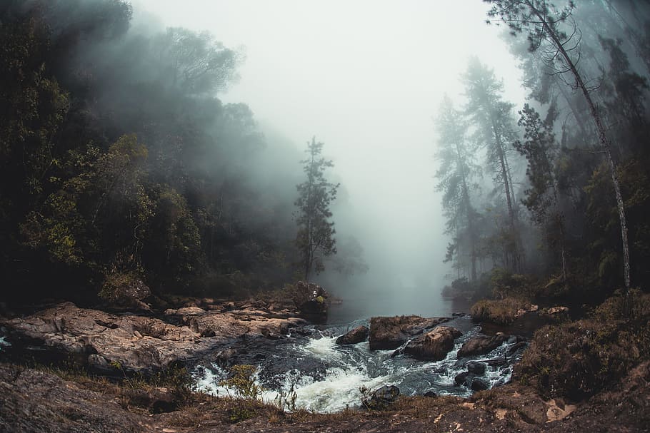 fotografie krajiny, řeka, stromy, pokryté, mlha, les, strom, Skála, jezero, venkovní, Příroda, krajina, rychlý, bílá Voda, voda, údolí, corredeira, rio, riomono, serjoza, Brazílie, rostlina, krása v přírodě, klid, přistát, scenics - příroda, klidné scény, životní prostředí, nikdo, mimoměstské scény, den, rock - objekt, pevný, venku, tekoucí voda, deštný prales, 2K