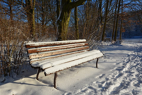 hiver, parc, hivernal, base de tranquillité, Soleil, neige, température froide, arbre, banc, terre, plante, la nature, vide, absence, siège, champ, banc de parc, beauté dans la nature, tronc d'arbre, tronc, tranquillité, couvrant, personne, en plein air, 5K, CC0, domaine public, libre de droits