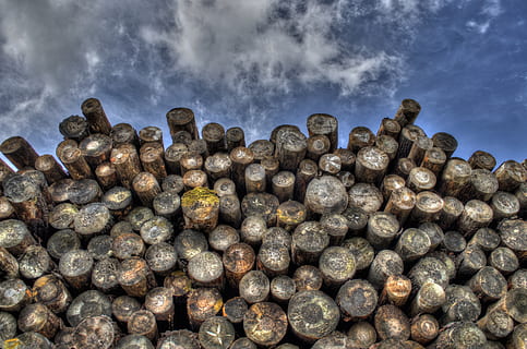 pile, wood photography, forestry, stack, stacked, stems, timber, tree trunks, wood, sky, cloud - sky, no people, nature, large group of objects, outdoors, close-up, day, abundance, wealth, history, studio shot, shape, environment, plant, travel, heap, gray, 4K, CC0, public domain, royalty free