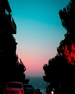 gradiente, color falso, paleta, rojo, azul, árbol, ligero, cielo, silueta, puesta de sol, agua, naturaleza, mar, transporte, paisajes - naturaleza, belleza en la naturaleza, nadie, modo de transporte, planta, cielo limpio, tranquilidad, escena tranquila, al aire libre, barco náutico, 4K, CC0, dominio público, libre de derechos