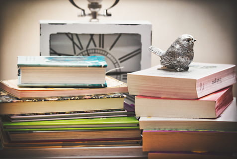 libri, pila di libri, tempo, leggere, letteratura, impilati, libreria, navigare, pubblicazione, libro, pila, formazione scolastica, nessuno, temi animali, animale, in casa, tavolo, un animale, vertebrato, concentrarsi sulle conoscenze acquisite, uccello, apprendimento, animali allo stato selvatico, fauna selvatica, legno - materiale, natura morta, grande gruppo di oggetti, libro con copertina rigida, studiando, 5K, CC0, dominio pubblico, privo di copyright