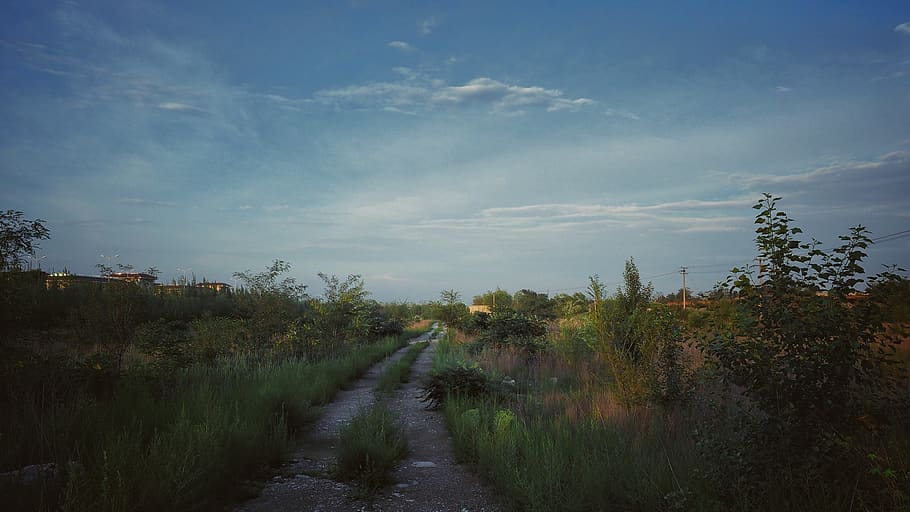 Pfad, Weg, Straße, Wanderung, Folgen, Natur, Wald, Landschaft, Sport, Wandern, draußen, Lebensstil, Menschen, Gehen, Übung, Person, Land, jung, fallen, Park, gesund, Berg, aktiv, Herbst, Läufer, Grün, Fußweg, Fitness, Lauf, Abenteuer, Joggen, Beine, trainieren, Laub, Mann, Erholung, Aktivität, Pflanze, wolke - himmel, Himmel, Baum, Wachstum, Schönheit in der Natur, ruhige Szene, Ruhe, keine Leute, der Weg nach vorn, Szenen - Natur, Richtung, Tag, Nicht-städtische Szene, Umgebung, 4K