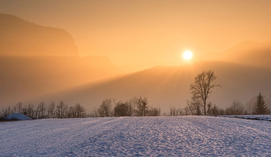 camp de neu, daurat, hores, fons, bonic, branques, brillant, fred, alba, medi ambient, boira, zing, gelada, congelat, nebulós, idíl·lic, paisatge, muntanya, tèrbol, pacífica, escènic, temporada, neu, nevat, nevades, sol brillant, llum solar, posta de sol, tranquil, arbres, temps, hivern, boscos, temperatura de fred, escenics - natura, cel, escena tranquil·la, arbre, bellesa a la natura, tranquil·litat, planta, naturalesa, sol, escena no urbana, gel, Serra, cap gent, nevar, pi, a l'aire lliure, arbre de coníferes, flare de la lent, bosc, 5K