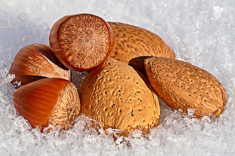 nuts, snow, hazelnuts, almonds, winter, nut, christmas time, nature, christmas, food, eiskristalle, advent, ice, eat, tree, wood, healthy, food and drink, healthy eating, freshness, wellbeing, still life, close-up, no people, brown, indoors, nut - food, fruit, bread, studio shot, group of objects, table, seed, high angle view, 5K, CC0, public domain, royalty free