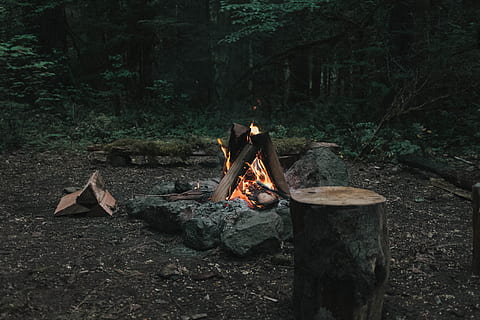 bonfire in forest, log, fire, firepit, camping, outdoors, rock, forest, woodland, tree, chopped wood, fall, autumn, adventure, wanderlust, explore, wood, goodmorning, phonebackground, background, hdwallpaper, campfire, fire - Natural Phenomenon, firewood, bonfire, nature, men, people, hiking, flame, heat - Temperature, tent, lifestyles, summer, women, adult, fire Pit, relaxation, sitting, axe, burning, vacations, wood - Material, fireplace, recreational Pursuit, 5K, CC0, public domain, royalty free