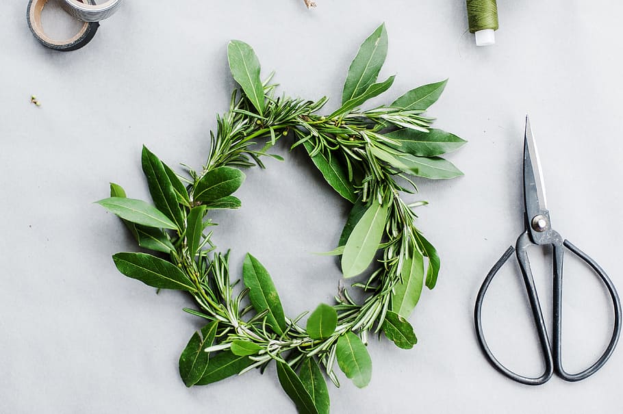 verd, corona de fulles, blanc, superfície, flatlay, fulles, tisores, fil, menjar, menjar i beguda, herba, color verd, a l'interior, frescor, benestar, directament a sobre, alimentació saludable, vegetals, full, vista d’angle alt, part de la planta, natura morta, cap gent, taula, romaní, planta, ganivet de cuina, 4K
