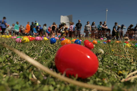 påske, egg, malt, vår, farget, natur, ferie, selektiv fokusering, gress, land, dag, multi farget, rød, feiring, fritidsaktivitet, nærbilde, anlegg, felt, overflatenivå, stor gruppe mennesker, utendørs, gruppe med folk, 5K, CC0, offentlig domene, opphavsrett gratis