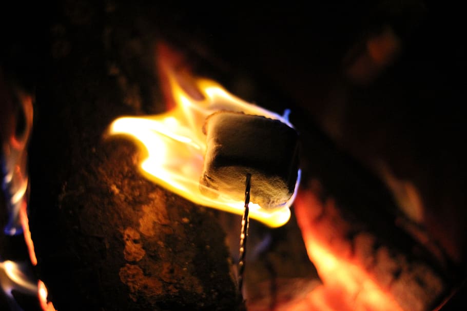 foc, flama, flames, foguera, foc de campament, campament, olors, s'mores, berenar, menjar, malví, cremar, mitchell bowser, mtch bwsr, taronja, groc, vermell, cremant, calor - temperatura, foc - fenomen natural, naturalesa, primer pla, brillant, registre, fusta, material de fusta, moviment, cap gent, llenya, color taronja, a l'interior, nit, medi ambient, esdeveniment, generació de combustible i energia, fosc, matchstick, 5K