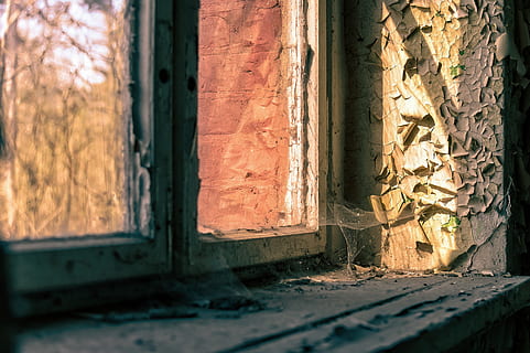 vindue, spindelvæv, web, natur, tæt på, edderkopper webs, gammel, nostalgi, forbi, lys, forladt, arkitektur, bygning, ingen mennesker, dag, bygget struktur, hus, beskadiget, forældet, udendørs, forvitret, sollys, glas - materiale, dør, indgang, nedgang, murbygningsfunktion, forringelse, vinduesramme, ødelagt, 5K, CC0, offentligt domæne, royaltyfrie