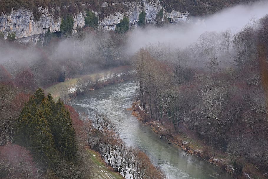 riu, hivern, paisatge, fred, naturalesa, aigua, arbres, egretes, boira, panorama, arbre, planta, bellesa a la natura, escenics - natura, escena tranquil·la, vista d’angle alt, tranquil·litat, medi ambient, escena no urbana, cap gent, terra, dia, creixement, a l'aire lliure, aigua que flueix, 5K