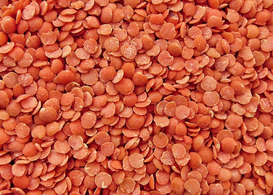 còdols marrons, planta, produir, menjar, llenties, vegetals, mongeta, catifa, pastisseria, dolços, mongeta verda, rodanxes, curry, ruca, fudge, xocolata, cacau, postres, pol·len, salsa, pa de carn, marc complet, fons, gran grup d'objectes, abundància, benestar, alimentació saludable, menjar i beguda, cap gent, frescor, fruita, primer pla, vermell, natura morta, naturalesa, grup, textura, directament a sobre, estil de vida saludable, Munt, família de llegums, menjar vegetarià, 2K