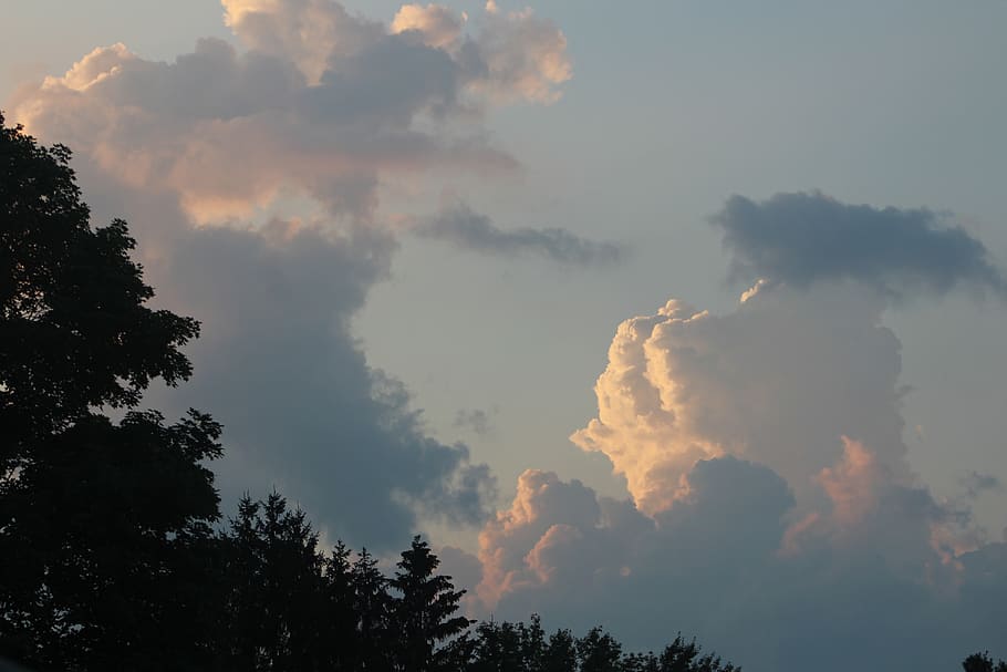 sky, cloud, trees, nature, evening, dawn, heaven, twilight, dramatic, mood, tree, cloud - sky, beauty in nature, low angle view, scenics - nature, plant, tranquility, tranquil scene, no people, silhouette, sunset, non-urban scene, outdoors, idyllic, growth, day, forest, treetop, 5K