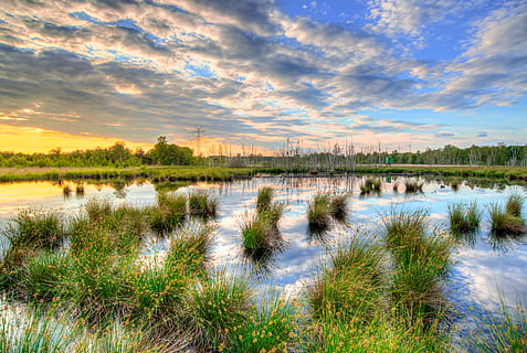 grønn, avlinger felt, blå, himmel, skyer, soloppgang, dagslys, gress, landskap, myr, siv, refleksjon, scenisk, solnedgang, vann, sky - himmel, naturskjønnhet - natur, anlegg, innsjø, skjønnhet i naturen, ro, rolig scene, natur, ingen folk, vekst, utendørs, ikke-urbane scene, idylliske, 5K, CC0, offentlig domene, opphavsrett gratis