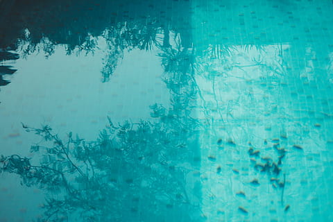 body of water, art, wall, cold temperature, winter, blue, snow, nature, backgrounds, ice, snowflake, frozen, no people, full frame, water, turquoise colored, window, glass - material, abstract, day, pattern, outdoors, glass, swimming pool, 5K, CC0, public domain, royalty free