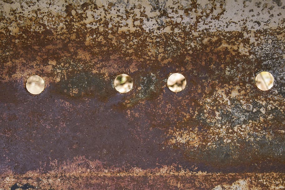 Rost, Löcher, Textur, Rost Textur, Treppe, Bronze-, alt, rustikal, Jahrgang, gebrochen, Rahmen, Muster, abstrakt, Tiefe, Detail, Detailfoto, Rosttapete, keine Leute, Natur, Nahansicht, Tag, Wasser, Schale, draußen, Rock, Land, solide, Muschel, texturiert, Tierwelt, Strand, High Angle View, Gruppe von Objekten, Tier, direkt darüber, nass, 5K