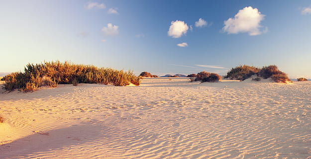 vuoto, bianca, deserto, erbe, cielo blu, nuvole, luce del giorno, erba, orizzonte, paesaggio, mattina, natura, all'aperto, sabbia, panoramico, cielo, la neve, temperatura fredda, inverno, terra, albero, ambiente, scenics - natura, pianta, la tranquillità, scena tranquilla, nessuno, giorno, scena non urbana, luce del sole, congelato, nuvola - cielo, 4K, CC0, dominio pubblico, privo di copyright