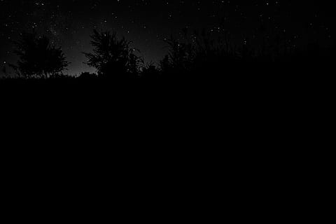 Deutschland, ahrenshoop, Nacht-, Himmel, Schattenspiel, schwarz, Silhouette, Baum, Pflanze, Natur, Ruhe, dunkel, Schönheit in der Natur, kopieren sie platz, keine Leute, ruhige Szene, Land, Szenen - Natur, Wachstum, Landschaft, gruslig, draußen, Wald, klarer Himmel, 2K, CC0, gemeinfrei, lizenzfrei