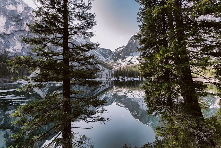 verd, arbre, cos, aigua, muntanya, blanc, cels, conífera, la llum del dia, medi ambient, vora del llac, paisatge, naturalesa, fotografia de natura, parc, pi, reflexió, escènic, neu, arbres, hivern, planta, escenics - natura, bellesa a la natura, temperatura de fred, escena tranquil·la, tranquil·litat, bosc, terra, llac, cel, cap gent, arbre de coníferes, Serra, muntanya nevada, bosc de pi, a l'aire lliure, formació, cim de muntanya, 5K