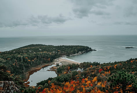 Strand, Vorgebirge, Vereinigte Staaten, Bar Harbor, Bienenstock Spur, Küste, Meer, Wasser, Natur, Ozean, draußen, Baum, Nadelbaum, Pflanze, Flora, Vegetation, Buchse, Kiefer, Wald, Land, Szenen - Natur, Himmel, Schönheit in der Natur, wolke - himmel, ruhige Szene, Horizont über Wasser, Ruhe, Horizont, keine Leute, Tag, Nicht-städtische Szene, idyllisch, 5K, CC0, gemeinfrei, lizenzfrei