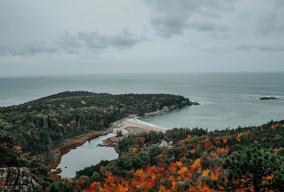 kysten, forbjerg, Forenede Stater, bar havn, bikube trail, kyst, hav, vand, natur, ocean, udendørs, træ, nåletræ, plante, flora, vegetation, Busk, fyrretræ, Skov, jord, strand, scenics - natur, himmel, skønhed i naturen, sky - himmel, rolig scene, horisont over vand, ro, horisont, ingen mennesker, dag, ikke-urbane scene, idyllisk, 5K
