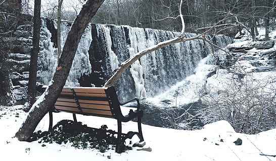 snö, täckt, brun, svart, stål soffa, grenar, kall, Häftigt, miljö, skog, fart, frost, frostig, frostigt väder, frysta, is, isig, landskap, natur, naturfotografering, utomhus, parkera, parkbänk, flod, naturskön, säsong, snöig, träd, vatten, vattenfall, väder, vinter-, trän, kall temperatur, växt, skönhet i naturen, scenics - natur, inget folk, dag, lugn, landa, sittplats, icke-urbana scenen, lugn plats, trämaterial, vit färg, flödande vatten, 5K, CC0, offentligt domän, royaltyfria