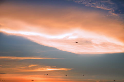 scenic, view, sky, dawn, beautiful, clouds, dramatic, environment, dom, idyllic, nature, scenery, sunrise, sunset, cloud - sky, beauty in nature, flying, scenics - nature, bird, vertebrate, airplane, no people, animal themes, animal, air vehicle, orange color, animal wildlife, tranquil scene, animals in the wild, tranquility, outdoors, 4K, CC0, public domain, royalty free