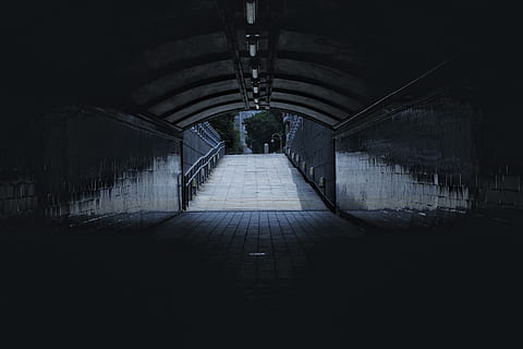 percorso vuoto, corridoio, tunnel, ponte, costruzione, all'aperto, cripta, passerella, sentiero, veranda, ringhiera, corrimano, pergolato, giardino, pietra da lastrico, terrazza, pergola, prigione, toga, moda, abito da sera, direzione, la strada davanti, architettura, prospettiva decrescente, struttura costruita, in casa, arco, vuoto, nessuno, attrezzatura per l'illuminazione, mezzi di trasporto, illuminato, soffitto, pavimentazione, natura, giorno, pianta, buio, luce alla fine del tunnel, sottopassaggio, passerella sotterranea, 5K, CC0, dominio pubblico, privo di copyright