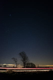 mørk, nat, Sky, himmel, træer, plante, udendørs, natur, hovedvej, græs, stjerner, lys, stjerne - rum, træ, scenics - natur, plads, ro, skønhed i naturen, rolig scene, astronomi, landskab, ingen mennesker, bare træ, miljø, Mark, stjerne, vej, jord, rum og astronomi, 5K, CC0, offentligt domæne, royaltyfrie