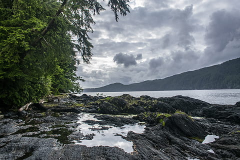 roci, apă, nori, copaci, mare, Canada, stâncă, frumusețe în natură, cer, scenice - natura, nor - cer, solid, obiect de rocă, Munte, copac, plantă, natură, nici o persoana, teren, liniște, scenă non-urbană, o scenă liniștită, în aer liber, apă curgătoare, 5K, CC0, domeniu public, fără drepturi de autor