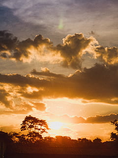 udsigt, solnedgang, træer, baggrundsbelyst, skyer, daggry, skumring, himmel, natur, outdoorchallenge, silhuet, solopgang, sky - himmel, skønhed i naturen, scenics - natur, ro, rolig scene, træ, plante, ingen mennesker, orange farve, landskab, miljø, idyllisk, sollys, udendørs, sol, ikke-urbane scene, 4K, CC0, offentligt domæne, royaltyfrie