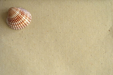 coajă, hârtie, mesaj, fundal, scrie, comunicare, nici o persoana, model, natură moartă, spațiu copie, texturată, vedere în unghi mare, în interior, decor, a închide, simplitate, zi, bej, plajă, un singur obiect, fundaluri, construită, natură, direct deasupra, texturat efect, 4K, CC0, domeniu public, fără drepturi de autor
