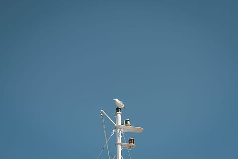 hav, moln, himmel, vind, fartyg, fiskmås, fordon, mås, mast, flyg, abborre, maskin, blå, vindturbin, belysning, jordens atmosfär, kopiera utrymme, teknologi, kommunikation, natur, klar himmel, inget folk, dag, lågvinkelvy, megafon, sändningar, antenn - antenn, trådlös teknik, arkitektur, förbindelse, satellit, parabolantenn, utomhus, solig, 5K, CC0, offentligt domän, royaltyfria