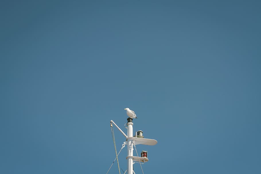 morze, Chmura, niebo, wiatr, statek, mewa, pojazd, frajer, maszt, lot, okoń, maszyna, niebieski, turbina wiatrowa, oświetlenie, atmosfera ziemi, kopia przestrzeń, technologia, porozumiewanie się, Natura, czyste Niebo, żadnych ludzi, dzień, niski kąt widzenia, megafon, nadawanie, antena - antena, technologia bezprzewodowa, architektura, połączenie, satelita, antena satelitarna, na dworze, słoneczny, 5K