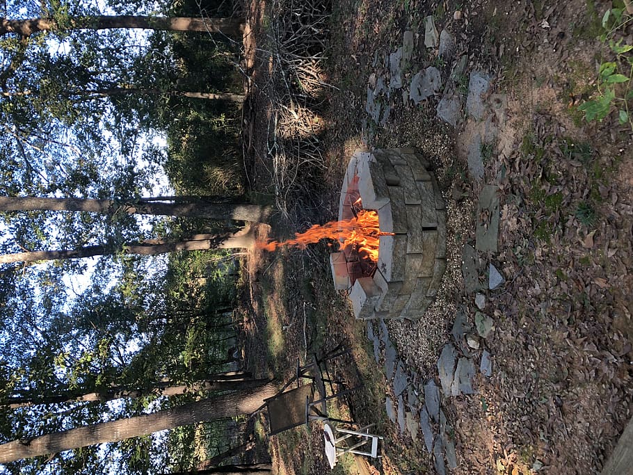 fuoco, terra, fiamma, falò, albero, pianta, boschi, firepit, strada, strada sterrata, ghiaia, ardesia, sentiero, passerella, macerie, campeggio, parete, pneumatico, tronco d'albero, natura, ardente, fuoco - fenomeno naturale, giorno, nessuno, colore arancione, all'aperto, Inquadratura dal basso, foresta, acqua, movimento, calore - temperatura, crescita, legno - materiale, religione, 4K