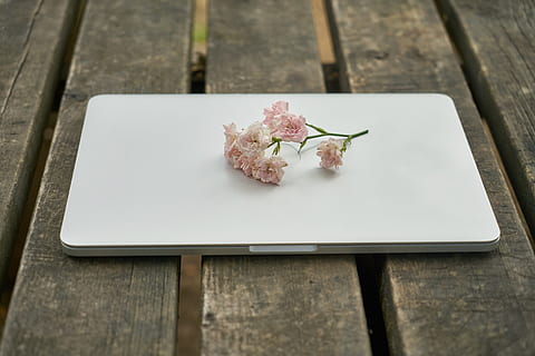 tecnologia, computador, teclado, flor, natureza, trabalhos, o trabalho, escritório, mesa, macro, madeira, manhã, bom Dia, curso, lindo, café, restaurante, computador portátil, romântico, Primavera, romance, Rosa, decoração, amor, planta com flores, plantar, madeira - material, frescura, ainda vida, visão de alto ângulo, ninguém, beleza na natureza, ao ar livre, fechar-se, dia, cor rosa, fragilidade, foco seletivo, vulnerabilidade, assento, cabeça de flor, 5K, CC0, domínio público, royalty free