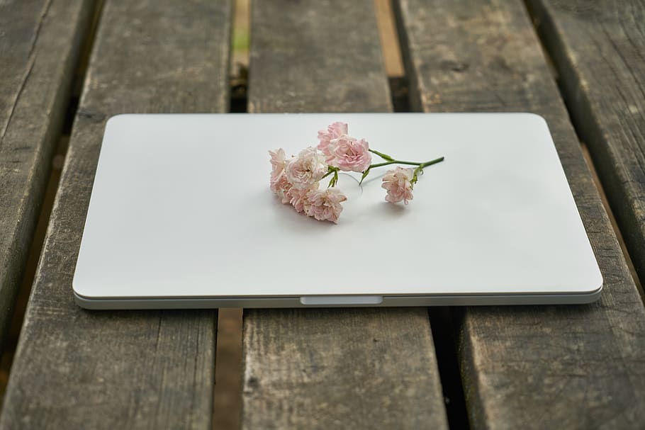 tecnologia, ordinador, teclat, flor, naturalesa, treballar, el treball, oficina, taula, macro, fusta, al matí, bon dia, curs, bonic, cafeteria, restaurant, portàtil, romàntic, primavera, romanç, rosa, decoració, amor, planta amb flors, planta, material de fusta, frescor, natura morta, vista d’angle alt, cap gent, bellesa a la natura, a l'aire lliure, primer pla, dia, color rosa, fragilitat, enfocament selectiu, vulnerabilitat, seient, cap de flor, 5K