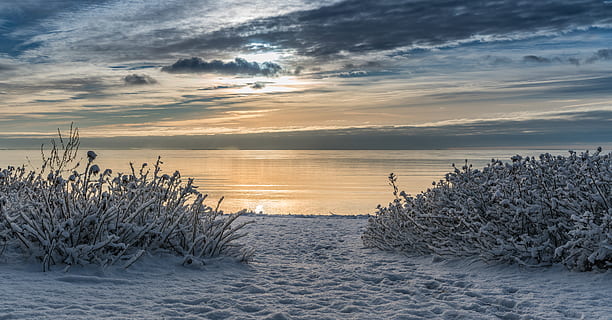 Küstenfoto, Strand, Wolken, kalt, Dämmerung, Fußabdrücke, zing, Frost, gefroren, Eis, Landschaft, Ozean, Pflanzen, Sand, Meer, Himmel, Schnee, Sonnenuntergang, Wasser, Wetter, Winter, Ruhe, Schönheit in der Natur, ruhige Szene, Szenen - Natur, wolke - himmel, Natur, keine Leute, idyllisch, Horizont, kalte Temperatur, Pflanze, Land, Horizont über Wasser, 5K, CC0, gemeinfrei, lizenzfrei