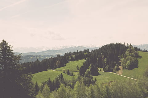 Bregenz, bregenz pfänderbahn, vuoret, Panoramanäköala, ylhäältä, mäki, ylängöillä, idyllinen, maisema, luonnollinen, luonto, ulko-, luonnonpuisto, vuori, metsä, Puut, puu, rock, vaellus, seikkailu, kasvi, kauneus luonnossa, maisemat - luonto, rauhallinen kohtaus, tyyneys, taivas, kasvu, vihreä väri, ei-kaupunkikuvia, ympäristö, pilvi - taivas, ei ihmisiä, maa, päivä, ulkona, havupuu, 5K, CC0, public domain, rojaltivapaa