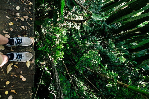 persona, in piedi, Cliffhanger, scarpa, foresta, albero, piede, piedi, bordo, ciglio, fogliame, foresta pluviale, giungla, verde, denso, buio, vivace, perry grone, corda, sicurezza, zip line, Costa Rica, natura, all'aperto, persone, una persona, uomini, colore verde, estate, foglia, donne, adulto, pianta, stili di vita, ambiente, uno stile di vita sano, giovane adulto, femmine, giorno, freschezza, maschi, mano umana, 5K, CC0, dominio pubblico, privo di copyright