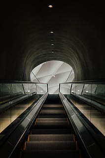 escala buida, barana, escala, Els angels, l'ampli museu, Estats Units, túnel, llum, arquitectura, ampli museu, escales, museu, interior, escala mecànica, ampli, terminal, vehicle, transport, estació de tren, direcció, a l'interior, comoditat, il·luminat, el camí a seguir, tecnologia, buit, cap gent, estructura construïda, modern, passos i escales, moviment, connexió, arc, passarel·la en moviment, sostre, pas inferior, 4K, CC0, domini públic, lliure de regalies