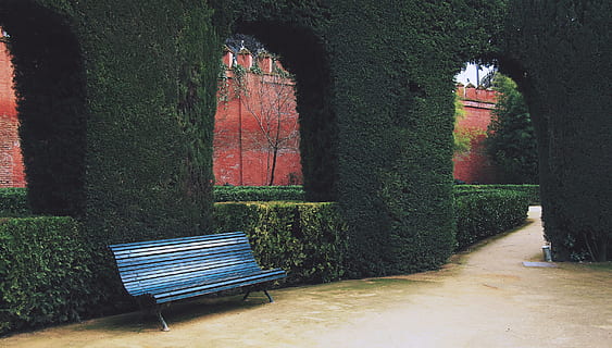 cortile, panchina, arbusti, sentiero, passerella, pianta, posto a sedere, albero, vuoto, natura, parco, nessuno, assenza, crescita, giorno, architettura, struttura costruita, erba, parco - spazio creato dall'uomo, panchina del parco, all'aperto, cortile anteriore o posteriore, giardino, siepe, 2K, CC0, dominio pubblico, privo di copyright