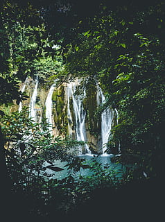 Bäume, Baum, Wald, Wasser, fallen, Wasserfälle, Wasserfall, Natur, Schönheit, Erde, Landschaften, Landschaft, Land, scape, Blätter, Blatt, Pflanze, fließendes Wasser, Schönheit in der Natur, Langzeitbelichtung, Szenen - Natur, Wachstum, Bewegung, Bewegungsunschärfe, keine Leute, Rock, Tag, Umgebung, solide, fließend, draußen, Kraft in der Natur, Regenwald, fallendes Wasser, 4K, CC0, gemeinfrei, lizenzfrei