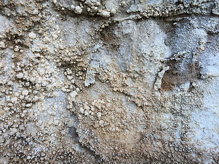 Grecia, Monte Athos, fotogramma intero, sfondi, strutturato, nessuno, avvicinamento, giorno, intemperie, ruvido, modello, all'aperto, caratteristica della parete, struttura costruita, vecchio, natura, danneggiato, tronco d'albero, architettura, cattiva condizione, sporco, tronco, 2K, CC0, dominio pubblico, privo di copyright