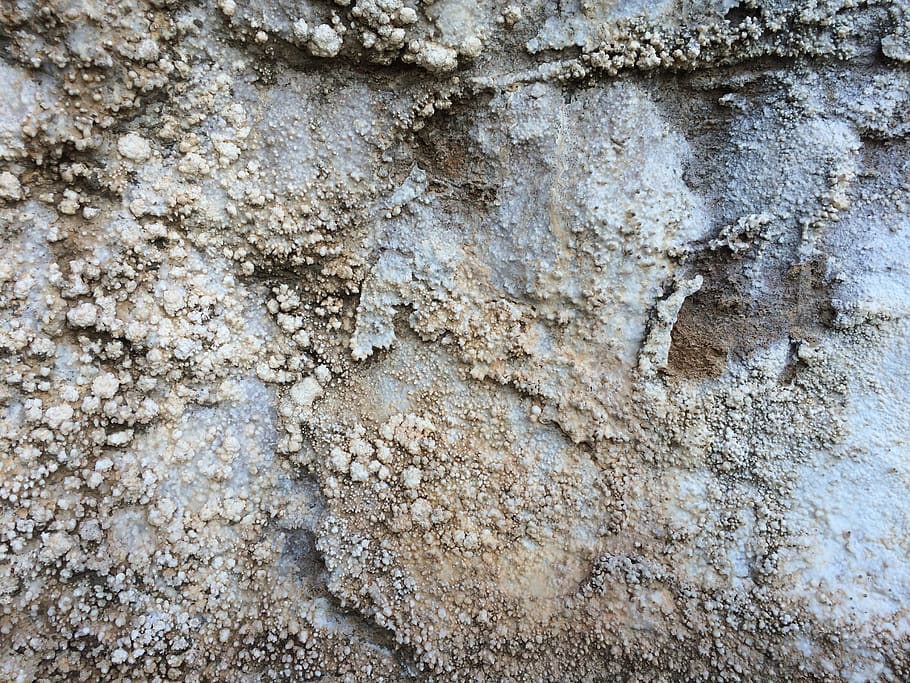 Grècia, muntar athos, marc complet, fons, textura, cap gent, primer pla, dia, resistent, aspre, patró, a l'aire lliure, funció de construcció de parets, estructura construïda, vell, naturalesa, espatllat, tronc de l'arbre, arquitectura, mal estat, brutícia, tronc, 2K