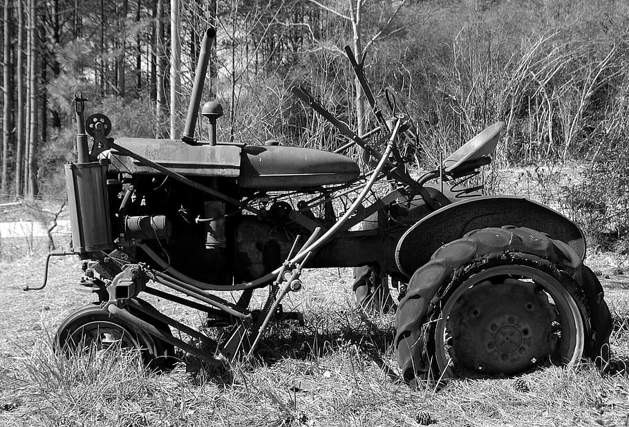 tractor rústic, abandonat, antiguitat, rovellat, vell, grunge, equipament agrícola, vintage, tractor, agricultura, maquinària, aspre, envellit, espatllat, aixafar, resistent, decaïment, vehicle, granja, trencat, gastat, arruïnat, rural, monocroma, manera de transport, terra, camp, transport, vehicle terrestre, planta, naturalesa, dia, estacionari, herba, arbre, cap gent, obsoleta, moto, a l'aire lliure, maquinària agrícola, roda, deteriorament, 2K
