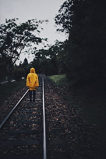 persona, de peu, tren ferroviari, núvols, núvols foscos, la llum del dia, herba, grava, ferro, paisatge, llarg, metall, rail, ferrocarril, vies del ferrocarril, línia de tren, impermeable, roques, escènic, acer, pedres, tren, vies del tren, arbres, boscos, pista, transport per ferrocarril, planta, naturalesa, transport, arbre, cel, dia, a l'aire lliure, flor, groc, planta amb flors, bellesa a la natura, creixement, manera de transport, perspectiva decreixent, cap gent, full, 5K, CC0, domini públic, lliure de regalies